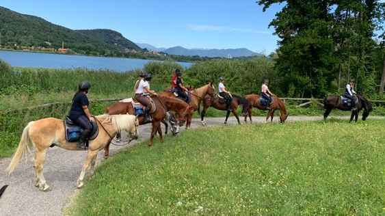 Porte aperte in scuderia con il Consorzio Cavalli varese