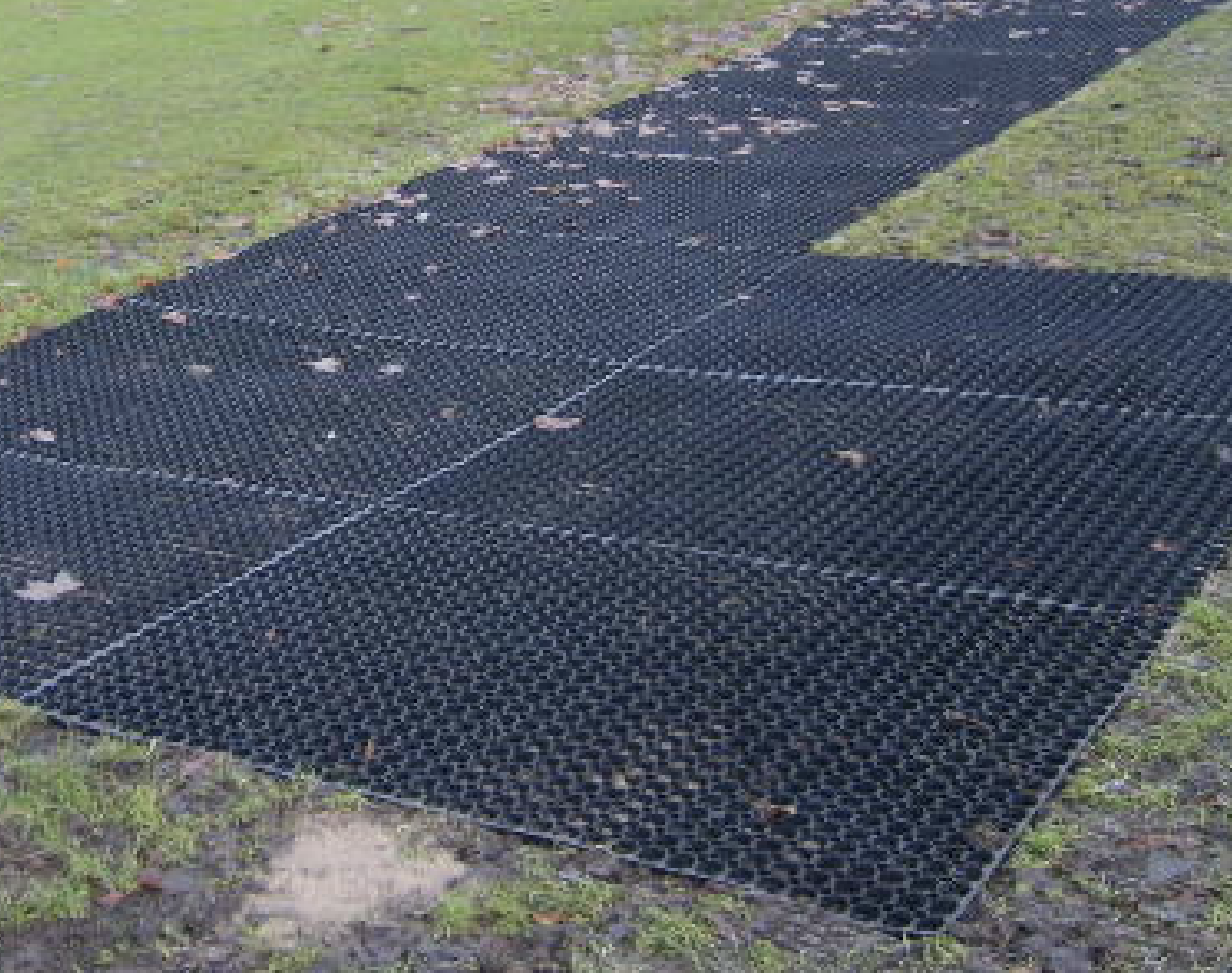 mat5xl bf copia