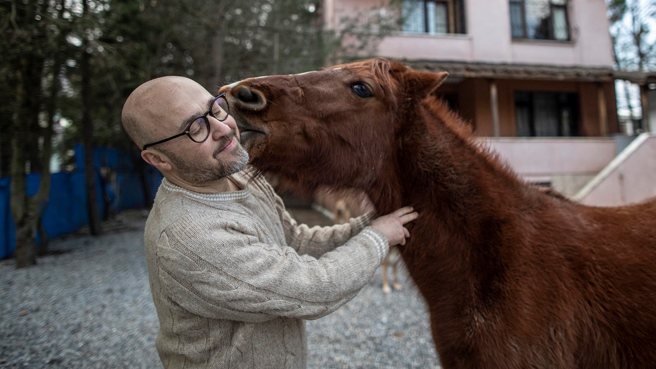 Tutti gli amici di Mert: cavallo e asino compresi, sì