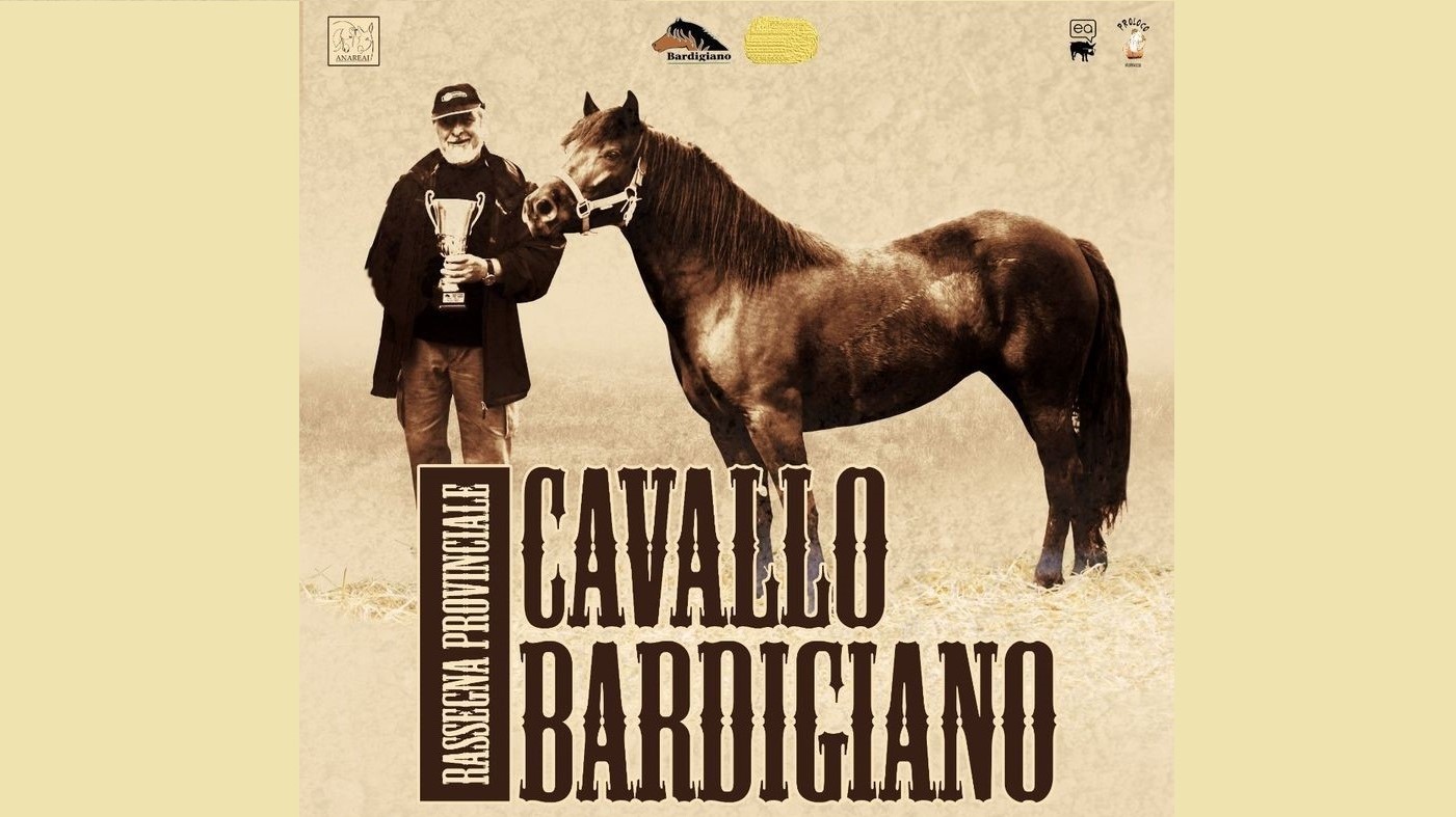A Morfasso l’8 maggio si celebra il cavallo Bardigiano