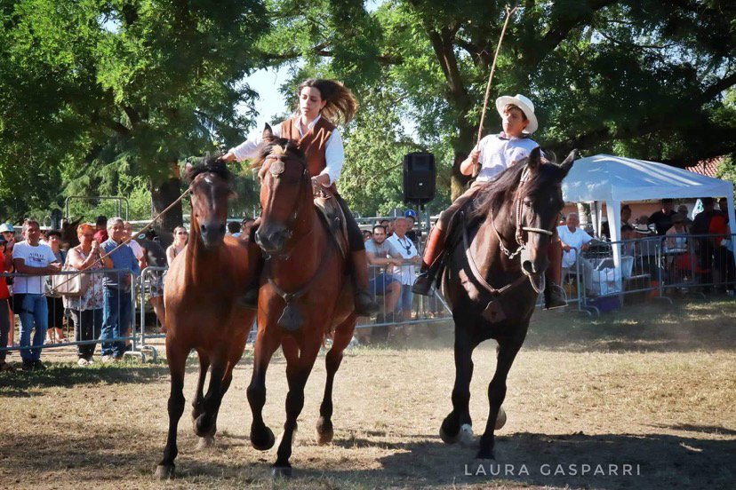 287769642 3221030578153619 4647358434221315195 n