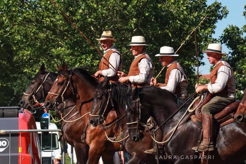 287783612 3221028244820519 2896699483779834245 n