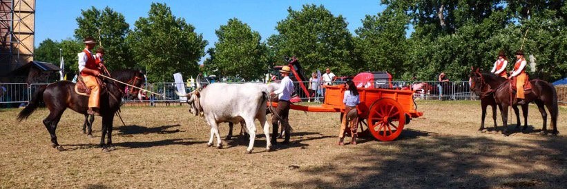 289273864 3221028314820512 2494838784090657955 n