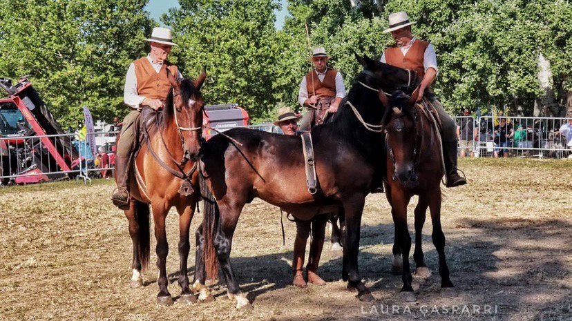 Alla Fiera Agricola del Santerno c’erano anche i butteri e la loro tradizione