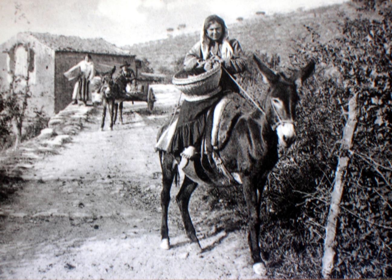 Fine Ottocento in Romagna1