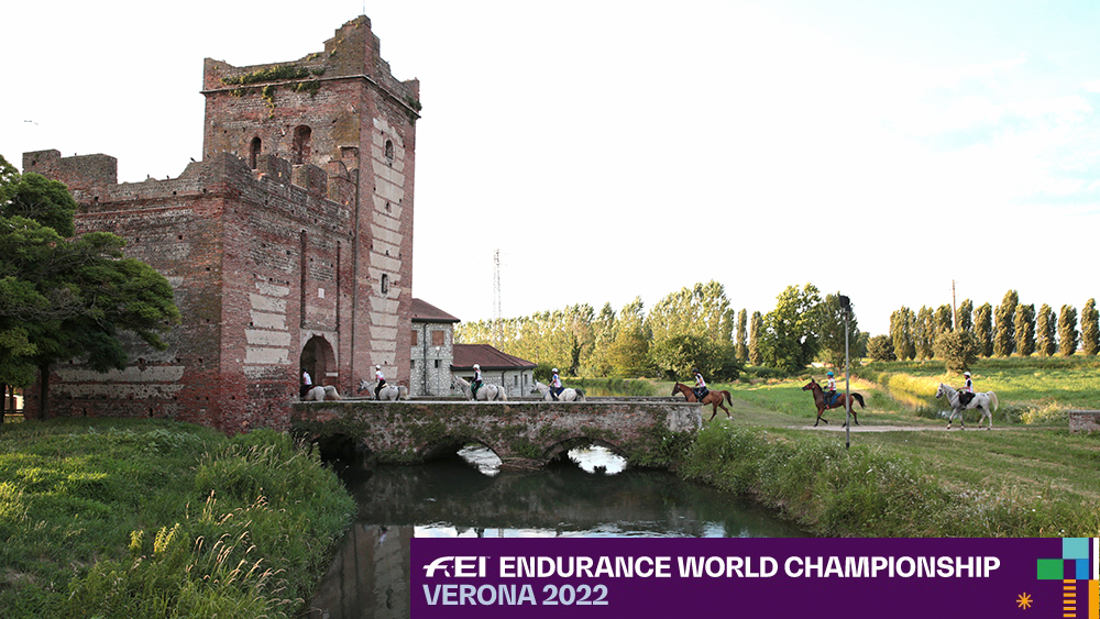 FEI Endurance Verona 2022: sport, salute, ambiente