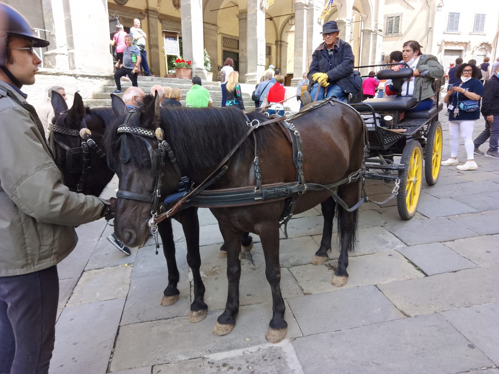 PHOTO 2022 06 09 09 05 05