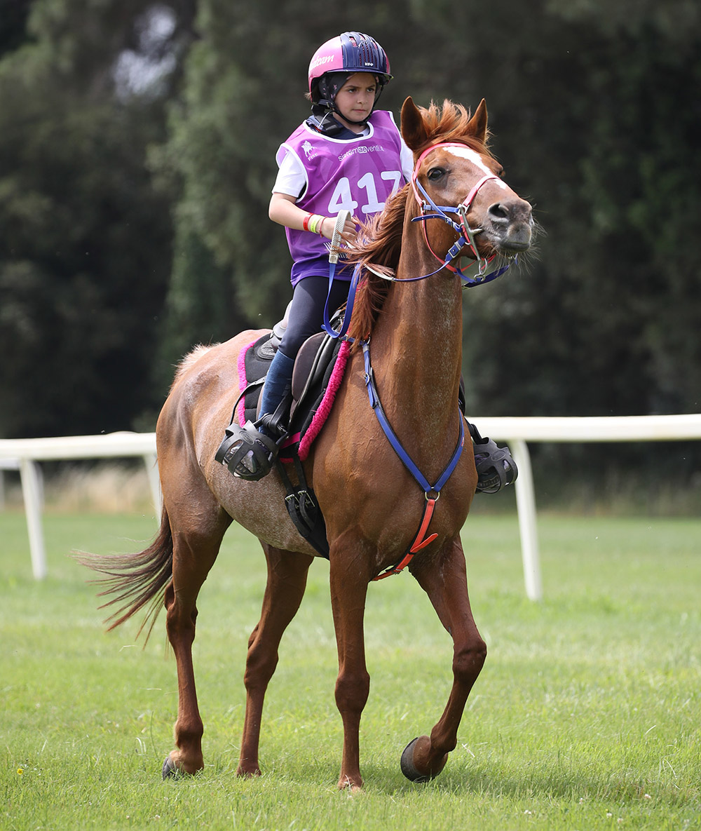 PonyB Vittoria Monetti 2