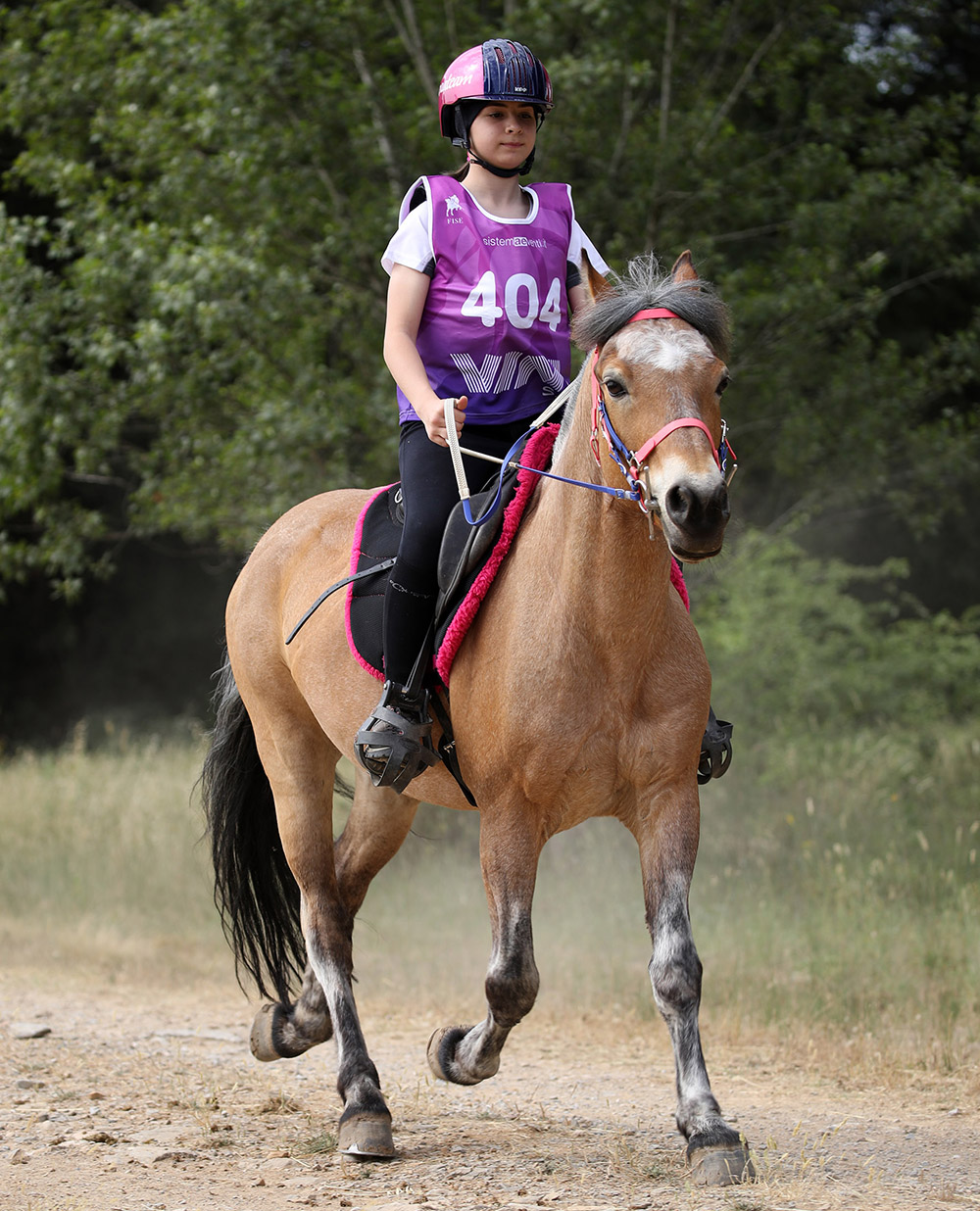 Pony Elite Alice Laurenzi