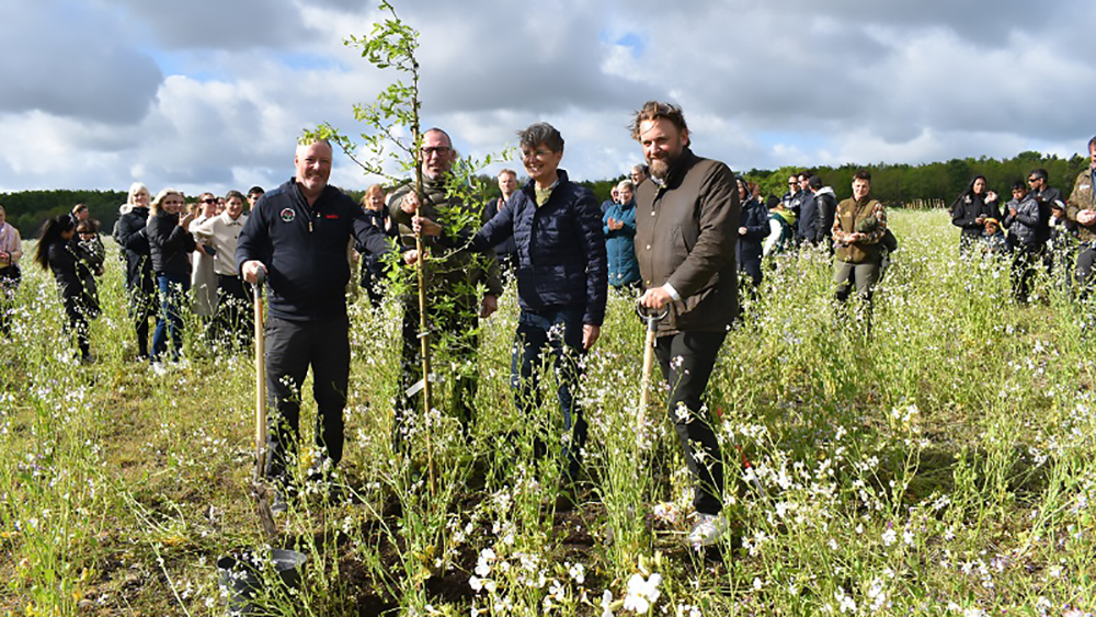 Herning2022: gli alberi Mondiali