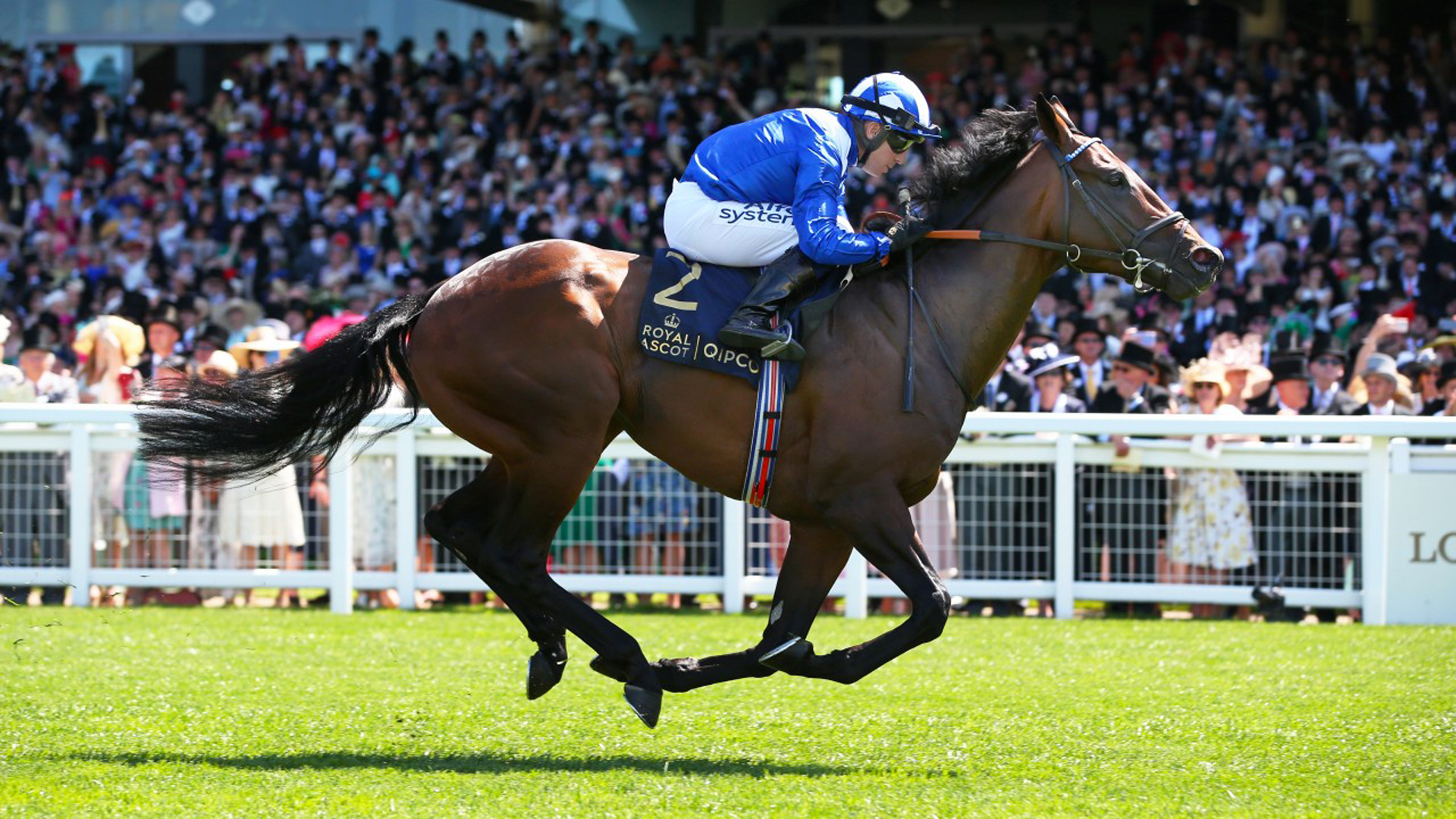 Royal Ascot apre col botto