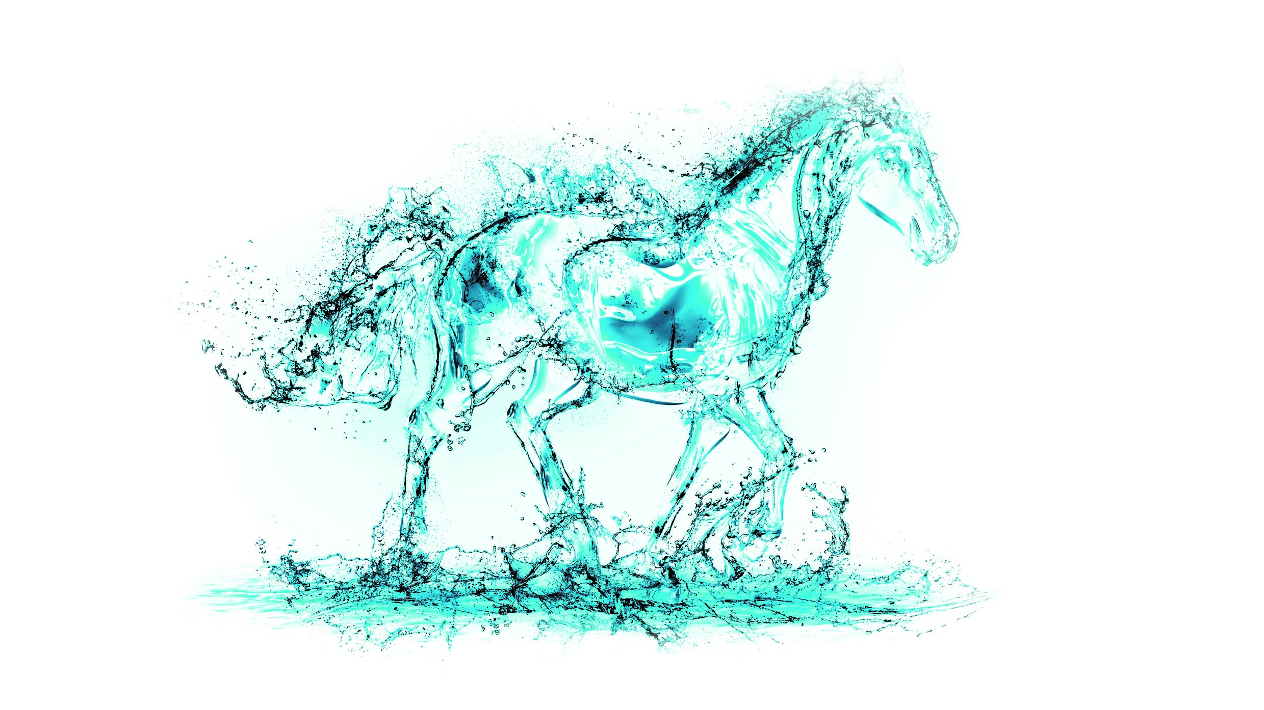 Equiplanet: l’importanza della reidratazione nei periodi di intensa attività sportiva
