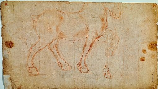 Leonardo: un altro cavallo ideale dal Rinascimento?