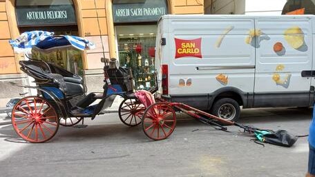 Palermo, ubriaco provoca caos e spaventa i cavalli degli ‘Gnuri: un ferito