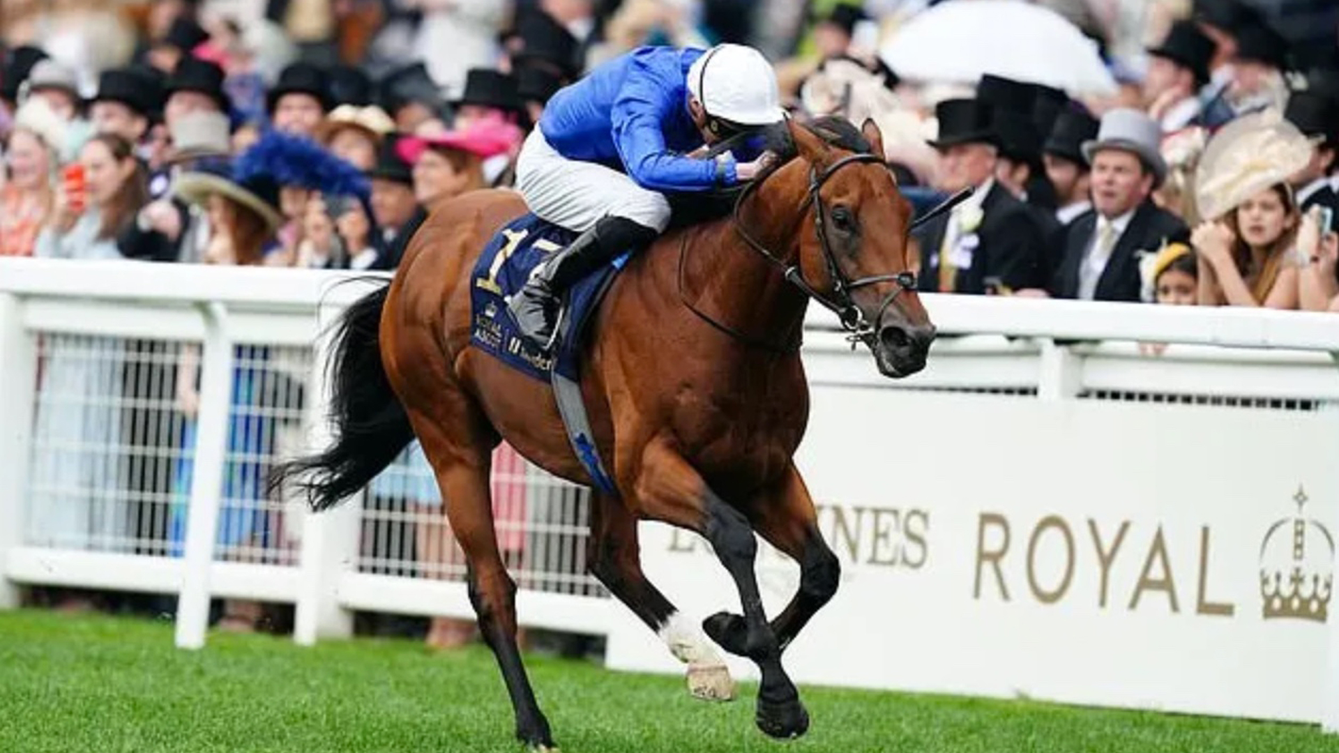 Royal Ascot, chiusura nel segno di Godolphin