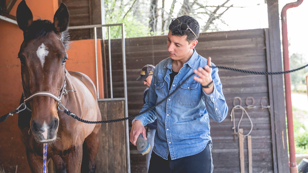 Progetto Isacco: un cavallo fa sempre bene