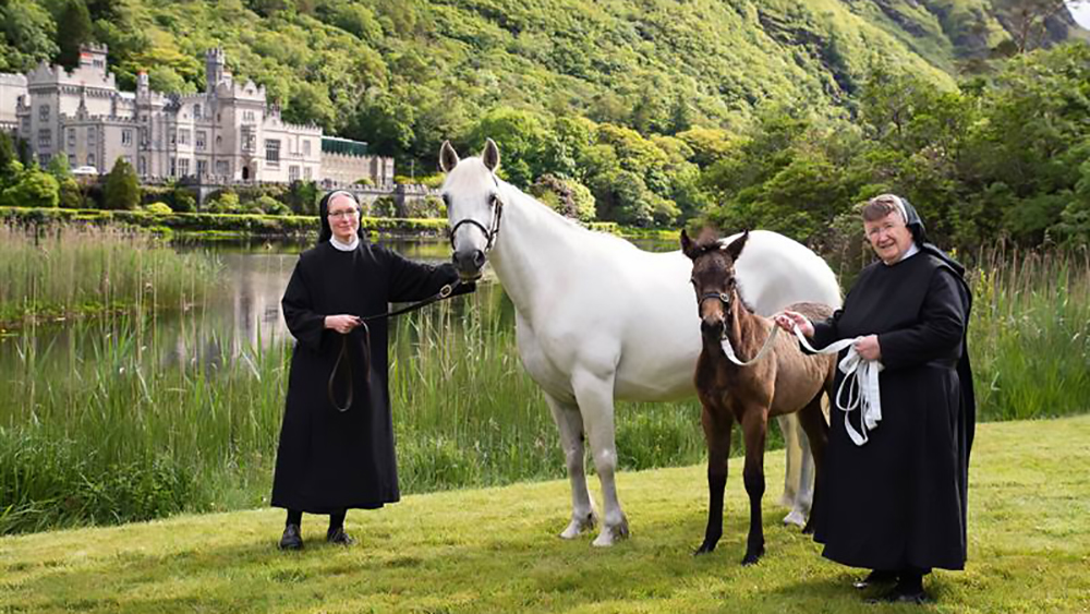 Le Sorelle dei Connemara