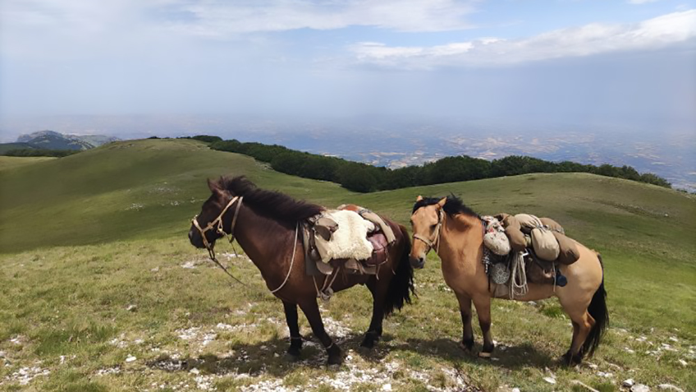 Sempre fieri di Paola