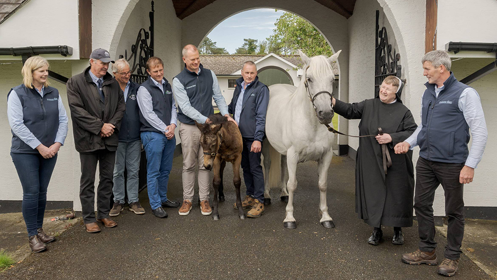 SML Irish National Stud www