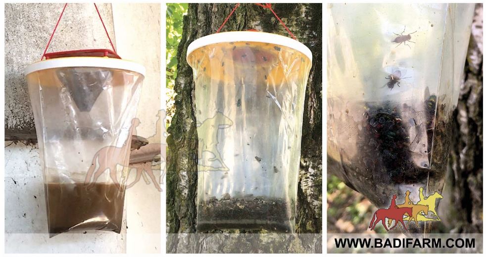 badifarm trappole mosche6