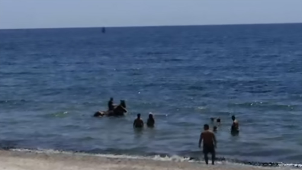 Sardegna: c’è posto anche per loro