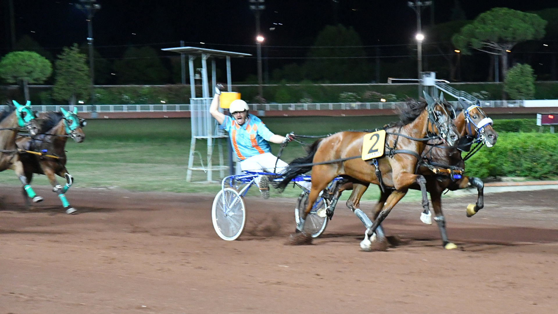 Pariglie e Trot Monté: spettacolo al Sesana