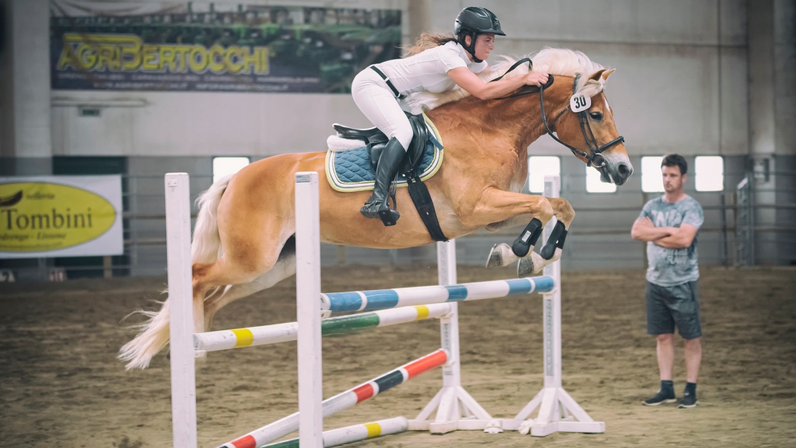 Anacrhai: il tuo compagno di gare è un Haflinger? Faccelo conoscere!