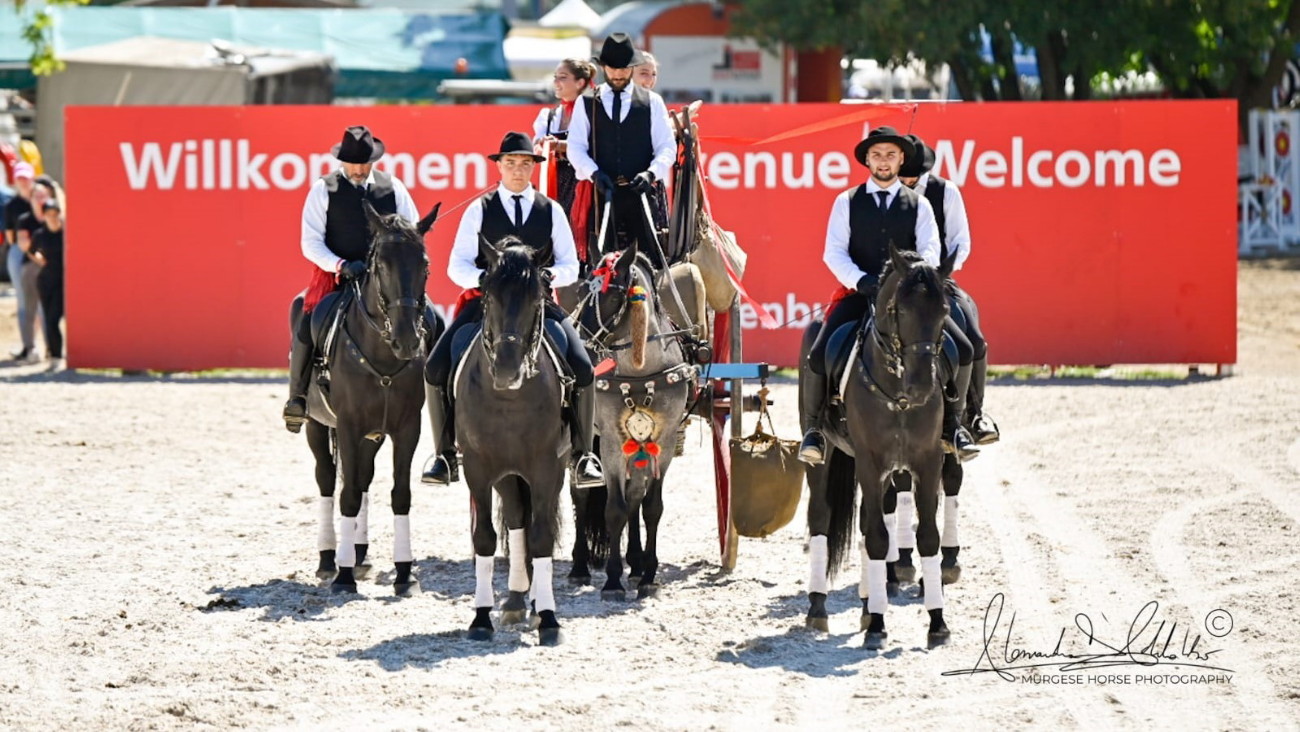 A Offenburg c’è anche Anamf con il Cavallo delle Murge