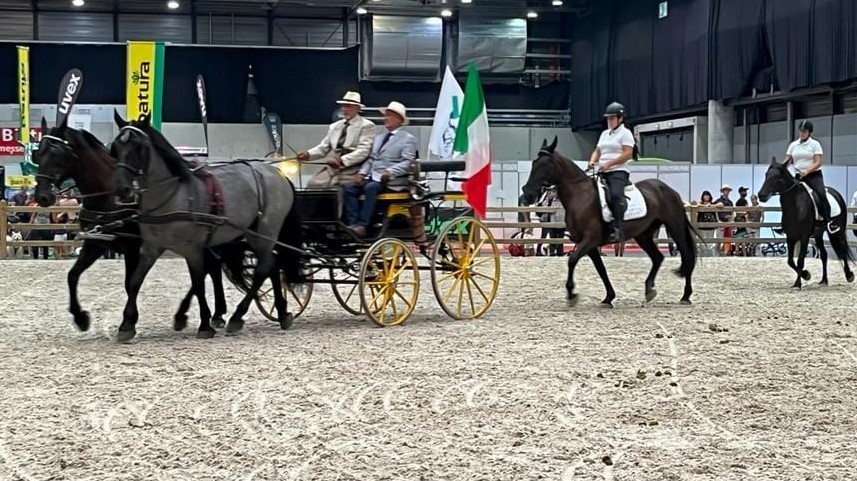 Protagonisti a Eurocheval 2022: i Murgesi