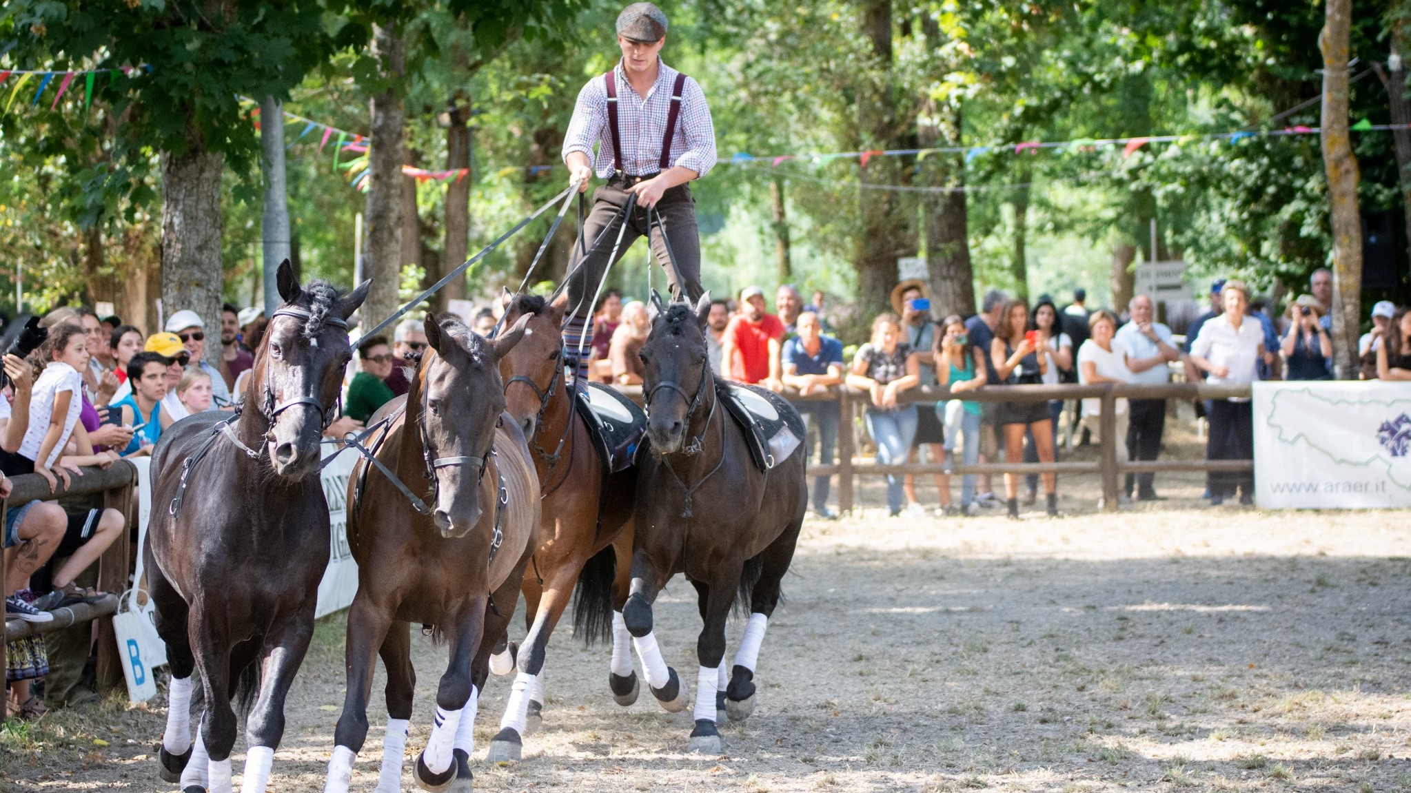 Protagonisti a Eurocheval 2022: il cavallo Bardigiano