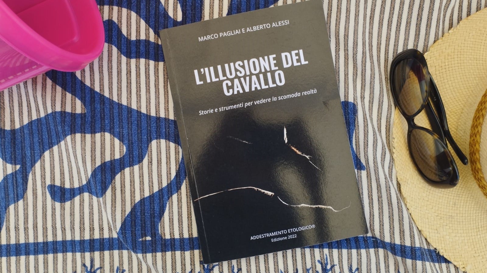L’illusione del cavallo: un viaggio per coraggiosi