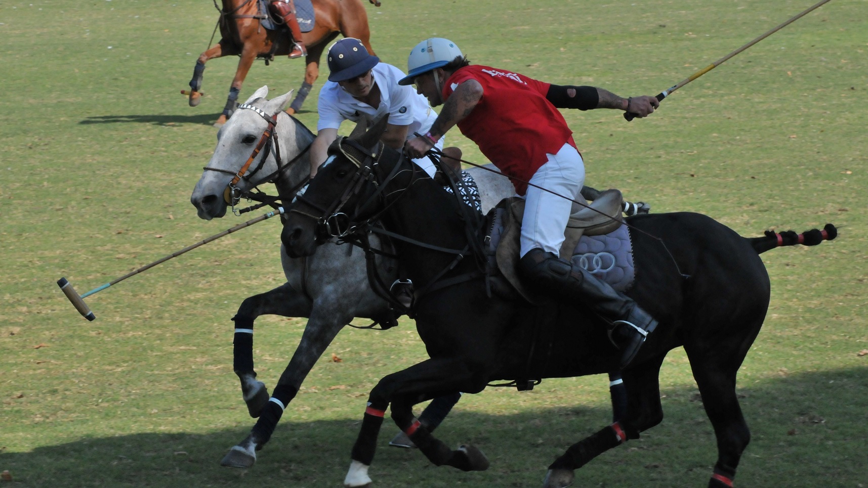 Punta Ala Polo Cup: Franco Piazza, da Nereo Rocco al polo
