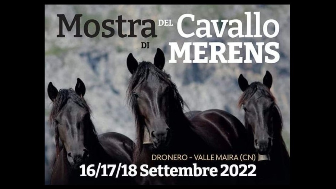Cuneo: a Dronero sono tornati i cavalli di Mérens