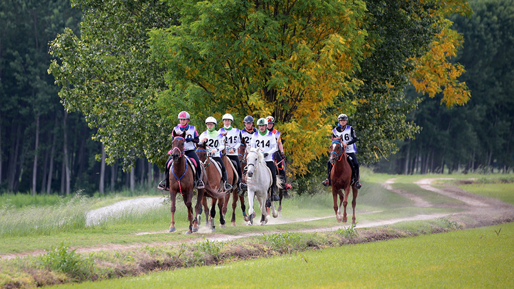 Mondiale di Endurance: ecco perchè la Fei ha bocciato Verona