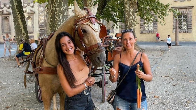 Lucca: scoppia la pace tra ‘cavallisti’ e ‘animalisti’?