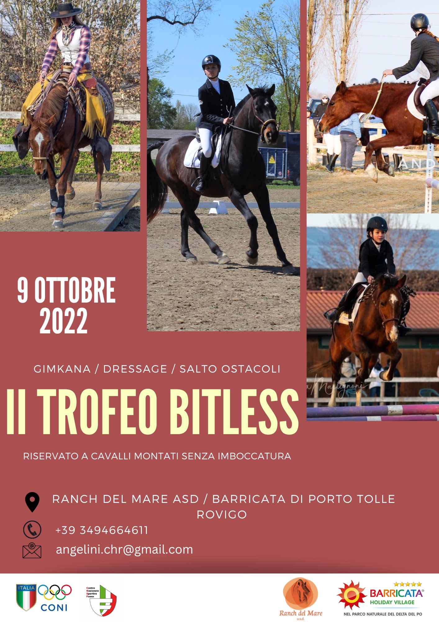 trofeo bitless