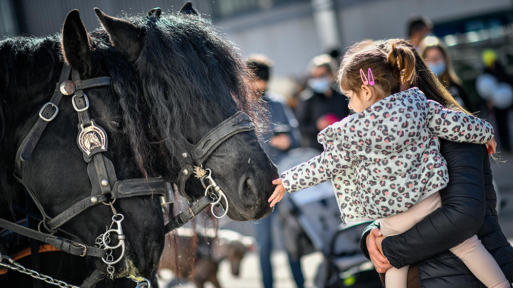 Fieracavalli: apre la biglietteria online