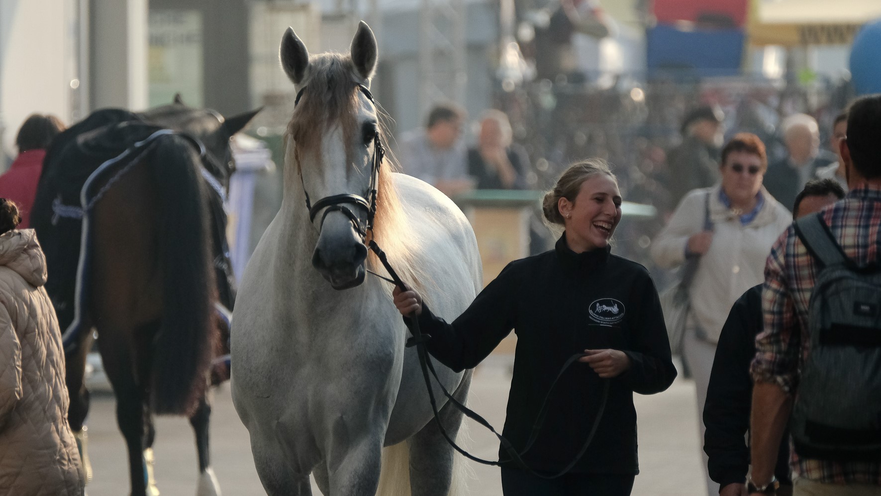 Fieracavalli 2022: un viaggio nel mondo delle razze equine