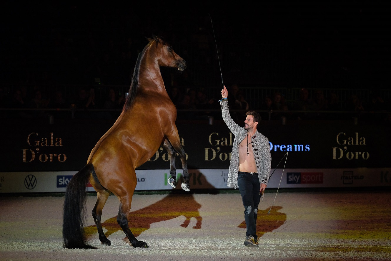 Fieracavalli2019 Veronafiere EnneviFoto MMF9904