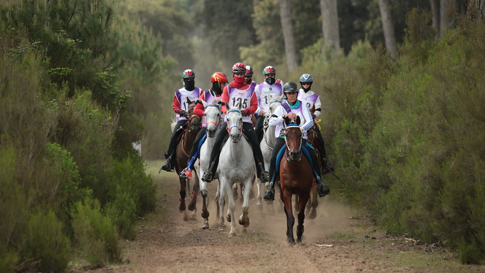 Endurance: San Rossore, la nuova candidatura italiana