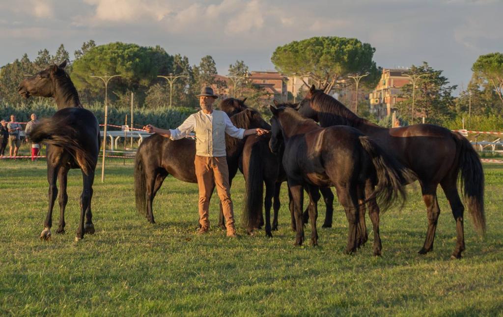 Cavallino di Monterufoli e Asino Amiatino: a Verona ci saranno anche loro, con Federico Forci!