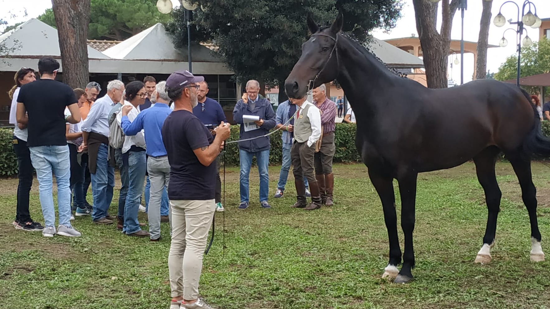 XLII Mostra Nazionale del L.G. del Cavallo Maremmano, il Casalone emoziona