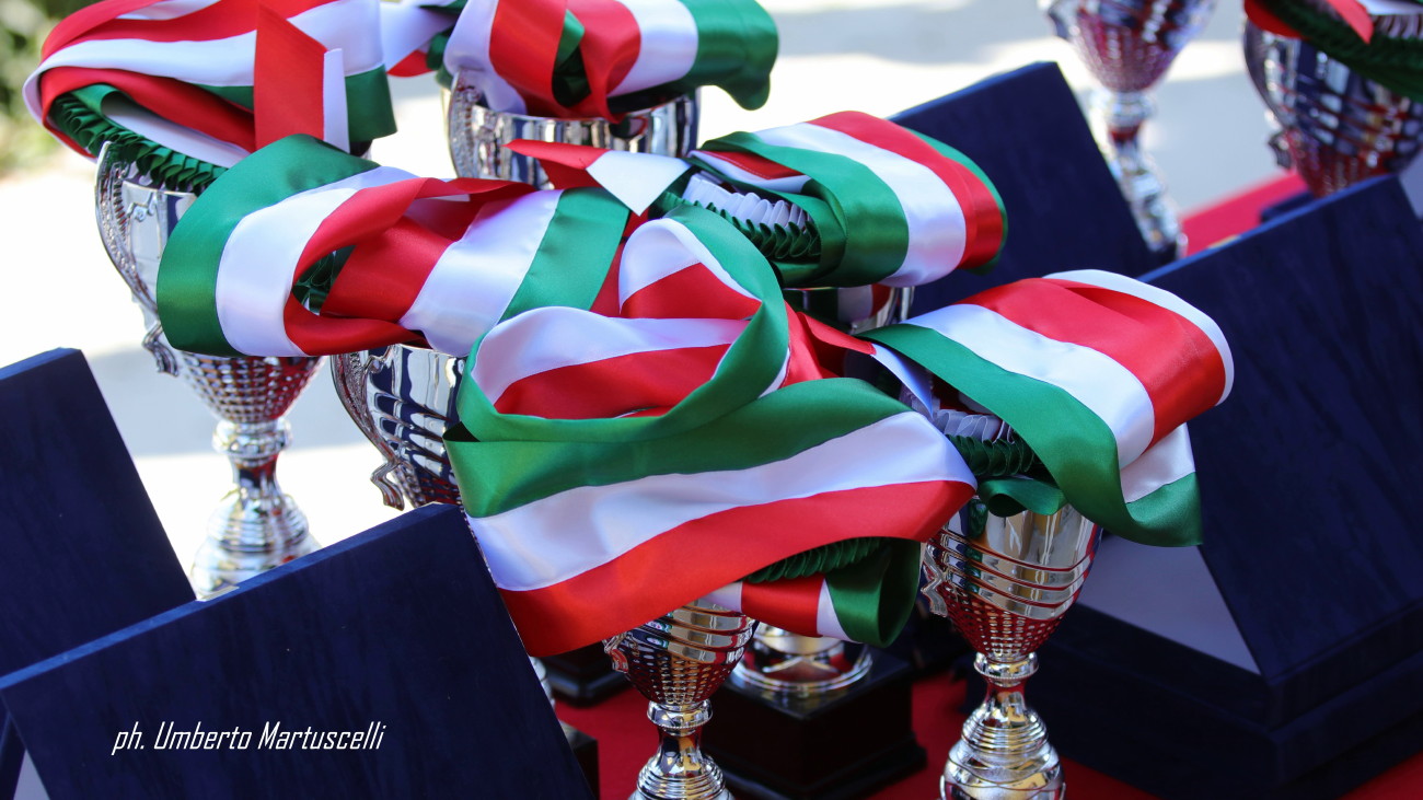 Arezzo laurea i giovani cavalli italiani