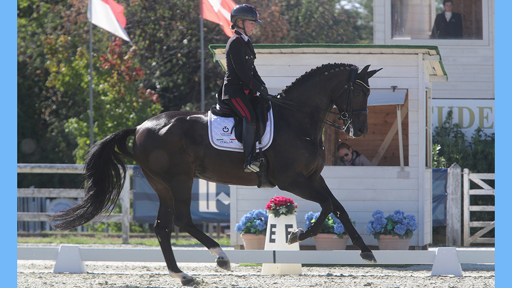 I Campionati 2022: evento clou del dressage italiano