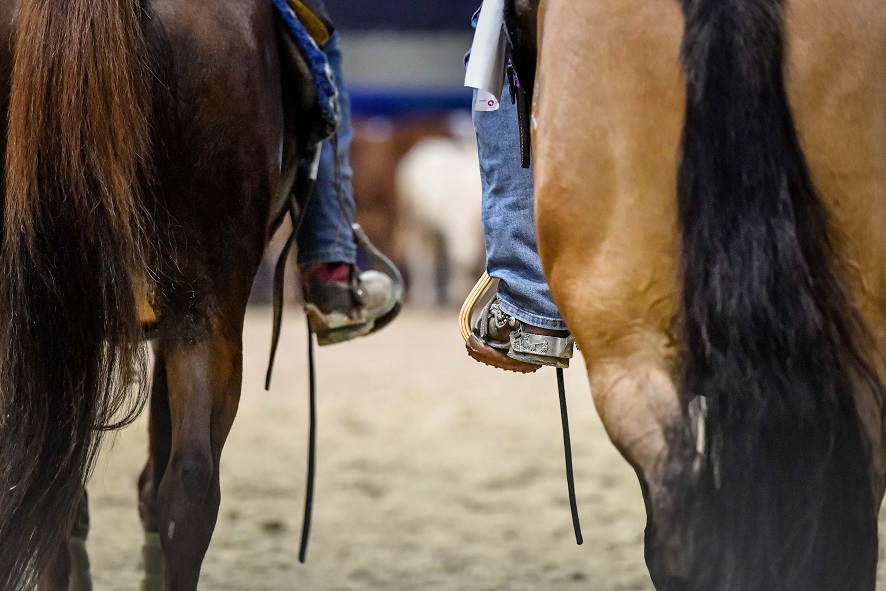 Western Fieracavalli2021 EnneviFoto Veronafiere 0225