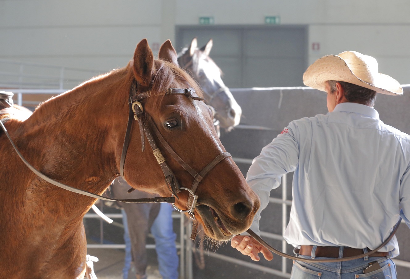Western Fieracavalli2021 EnneviFoto Veronafiere 20181025 0042