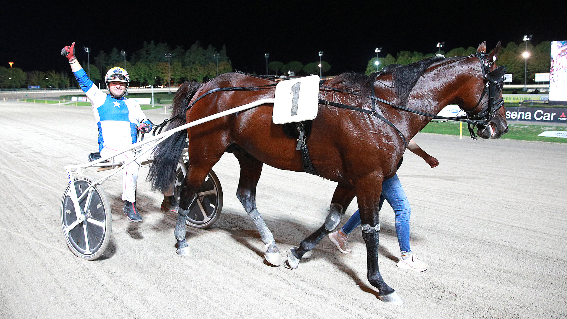 Il Campionato Europeo di Trotto: eccellenza continentale!
