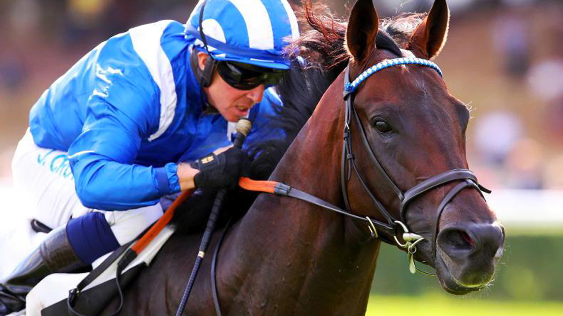 Champion Stakes: l’ultima di Baaeed