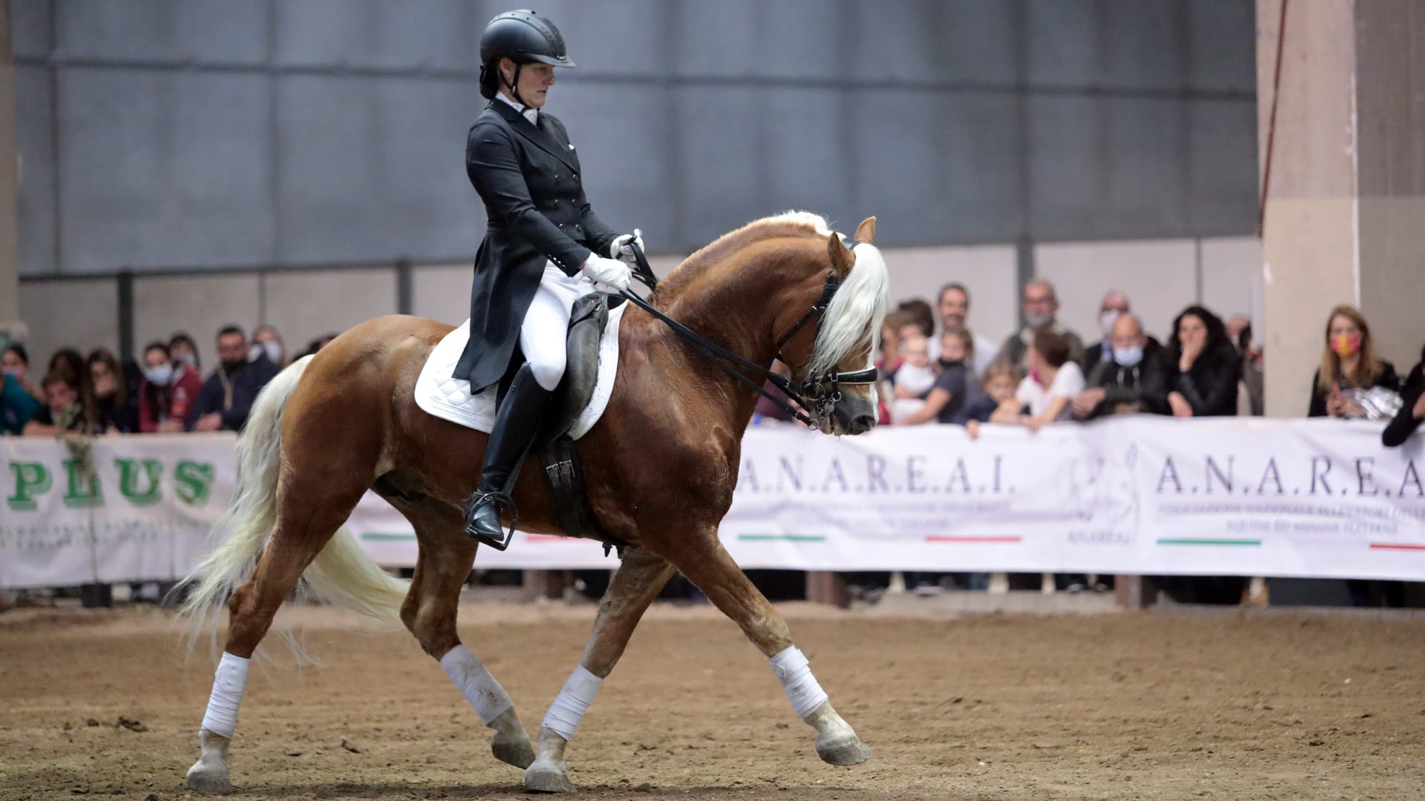 Anacrhai: a Fieracavalli torna Haflinger Folie!