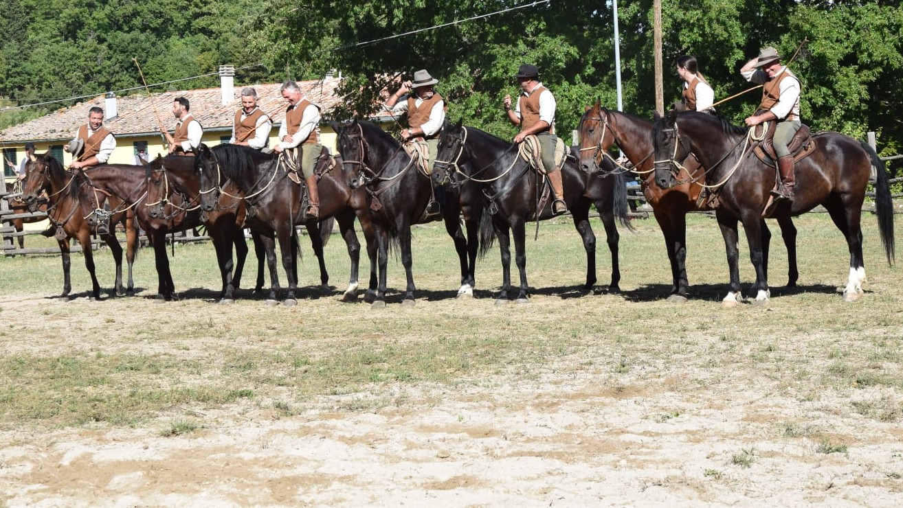La Bardella Maremmana torna alla Pferd&Jagd di  Hannover